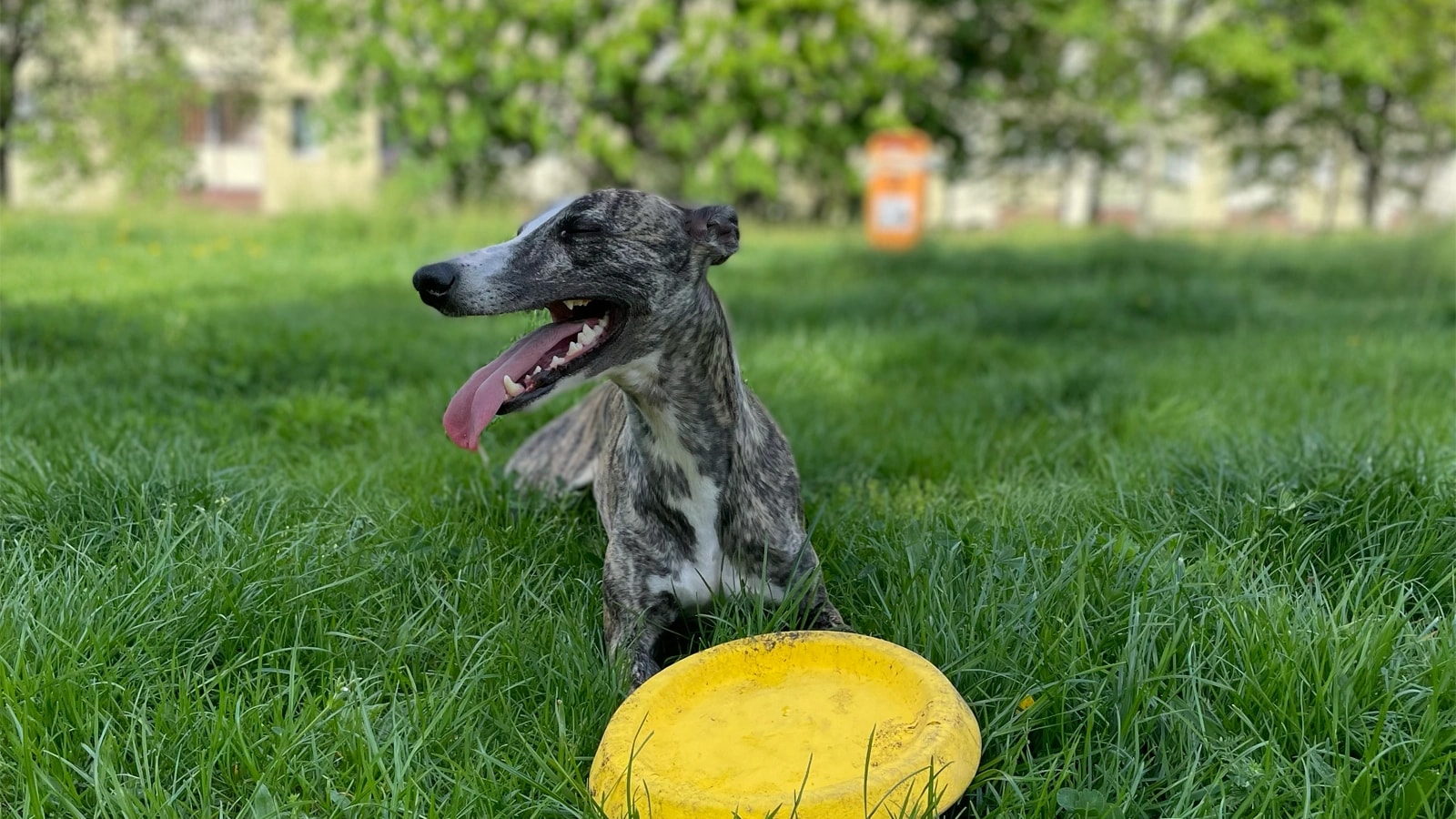 Illustration for No Projections Available